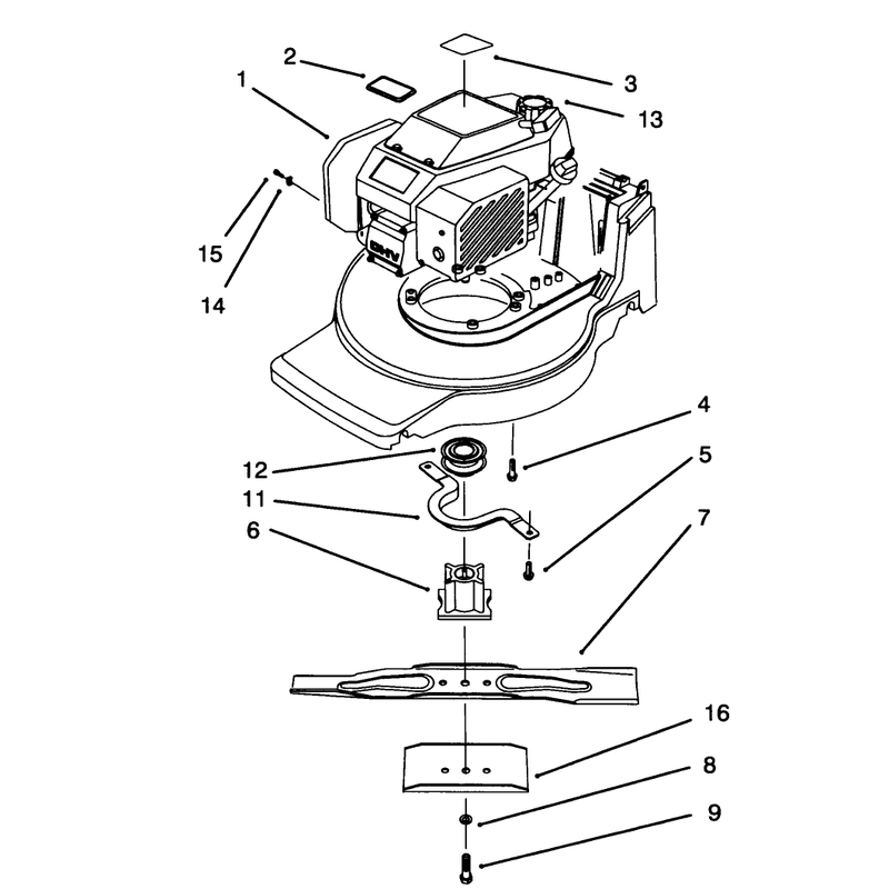Engine Assembly