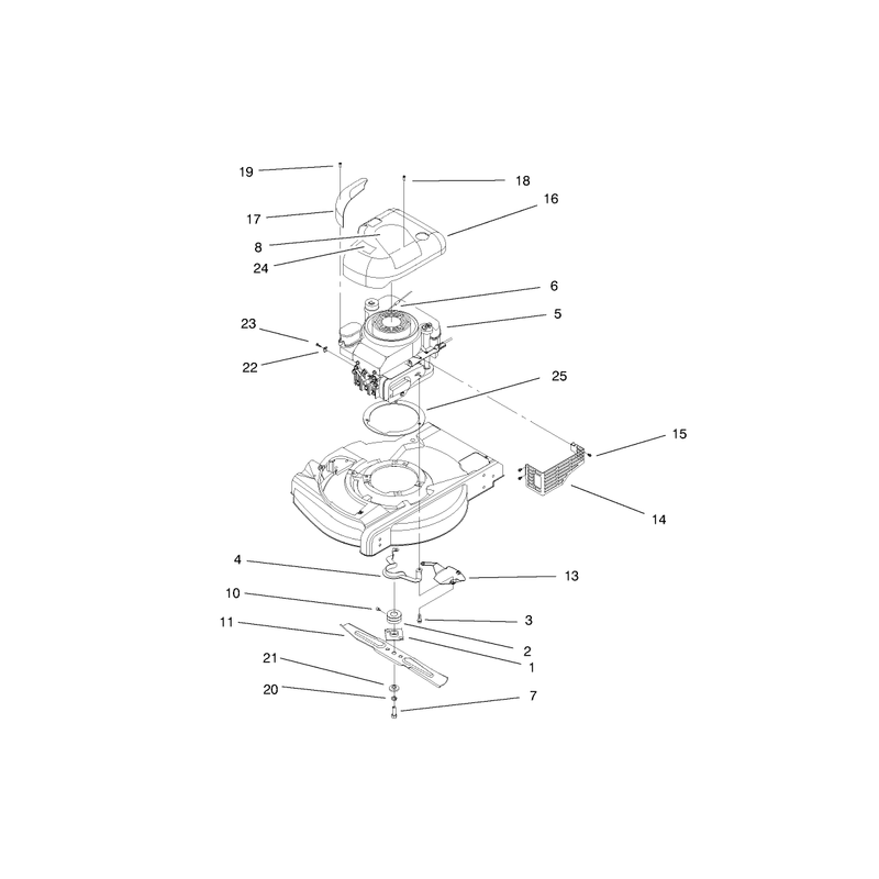 Engine Assembly