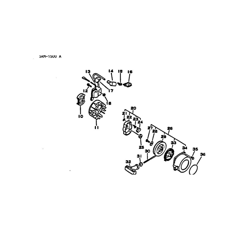Clutch Ignition and Recoil Starter