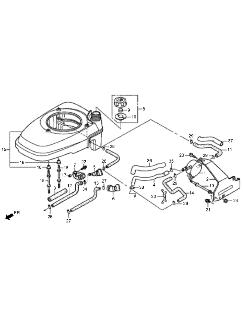 Fuel Tank and Fuel Pump Assembly