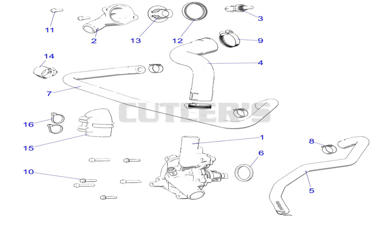 Engine, Water Pump and Bypass