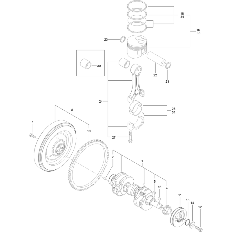 Crankshaft and Piston Assembly
