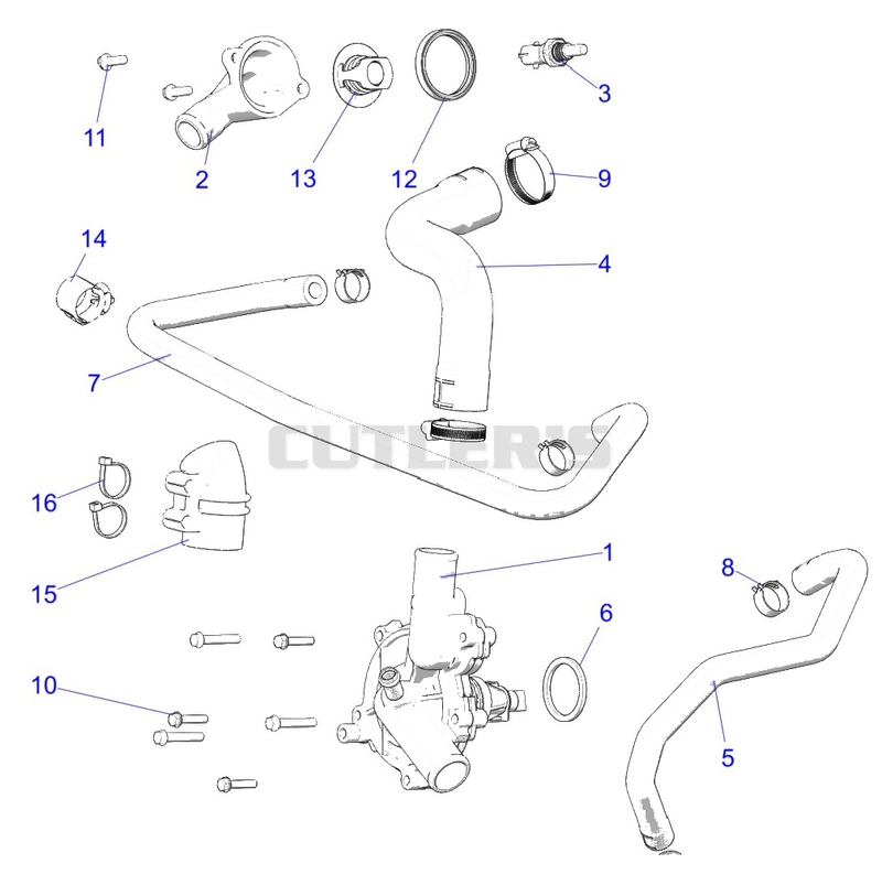 Engine, Waterpump and Bypass