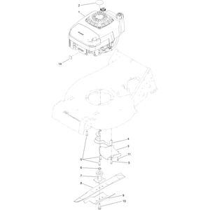 Engine Assembly