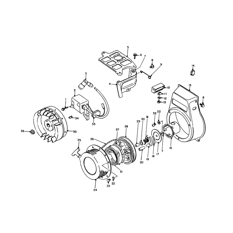 Rewind Starter and Magneto Assembly