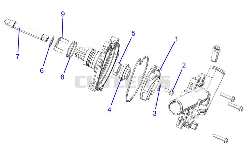 Engine, Waterpump Assembly