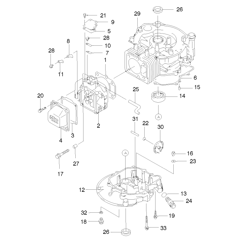 Cylinder and Crankcase Assembly