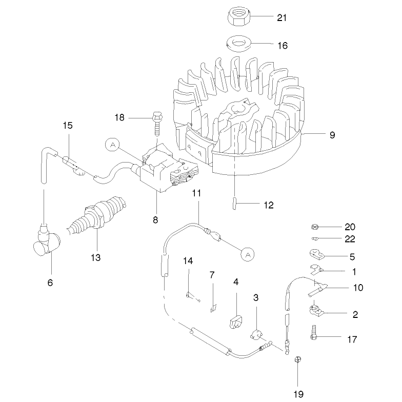Flywheel and Ignition Assembly