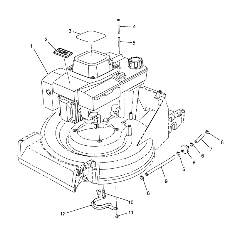 Engine Assembly