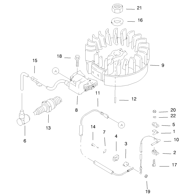 Flywheel and Ignition Assembly