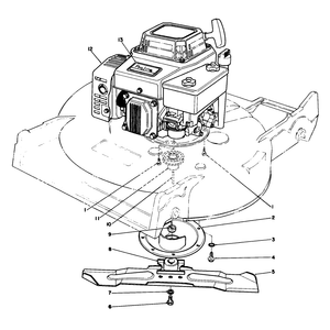 Engine Assembly