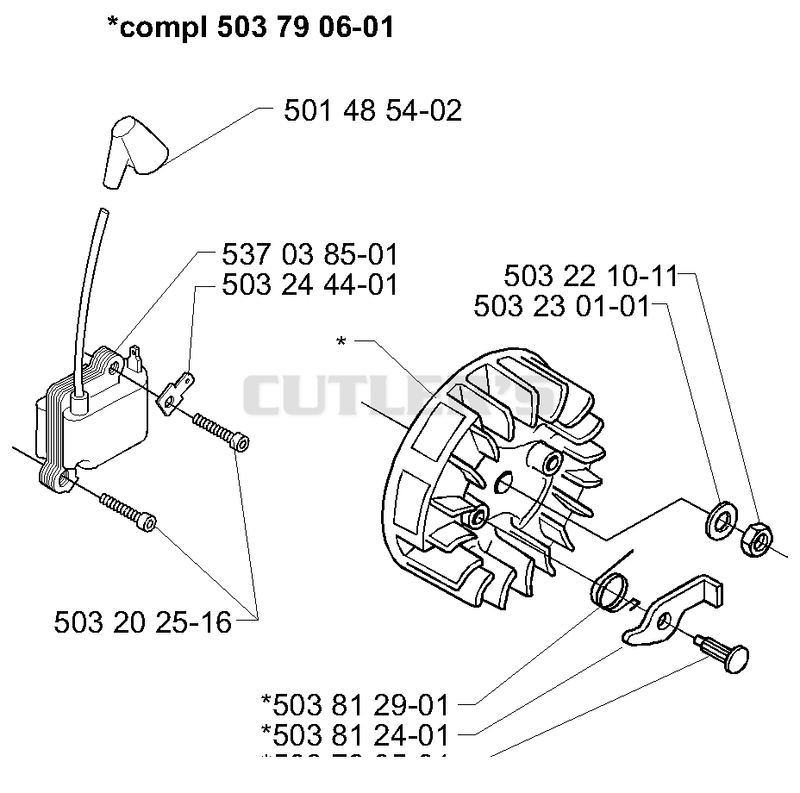 Ignition/Flywheel
