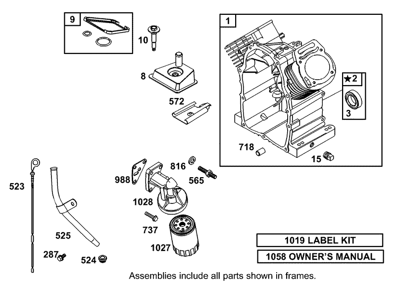 Cylinder Oil Filter and Dipstick Assembly Briggs and Stratton 303447 1319 E1