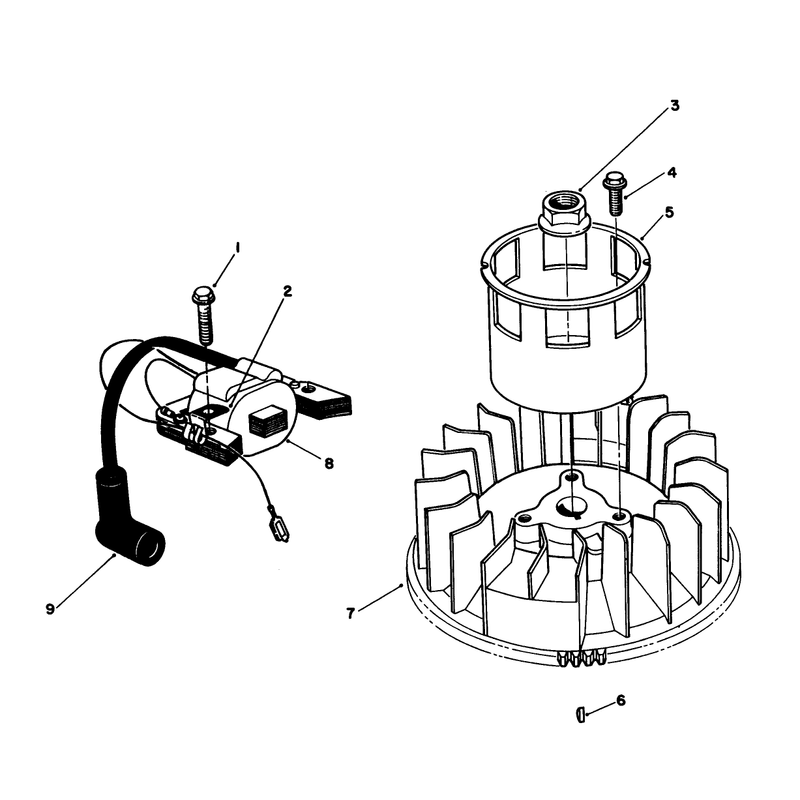 Magneto & Flywheel Assembly (engine Model No. Vmj8)