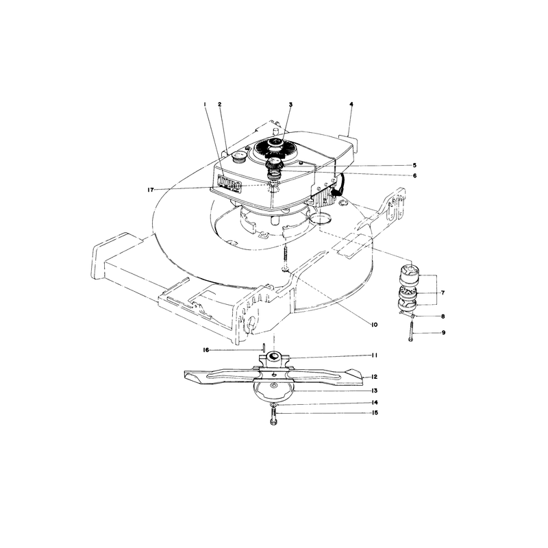 Engine Assembly