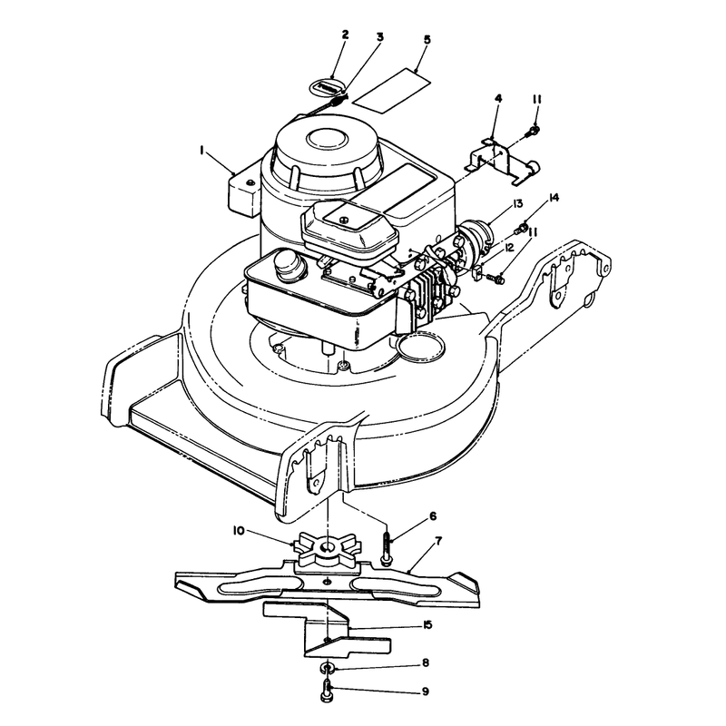 Engine Assembly