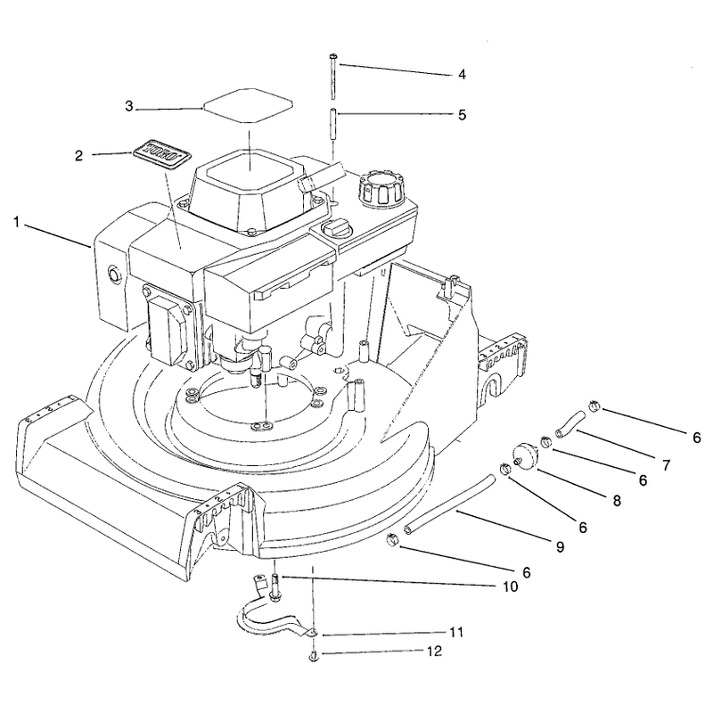 Engine Assembly