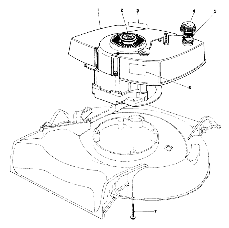 Engine Assembly