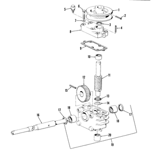 25in and 34in Gear Case Assembly