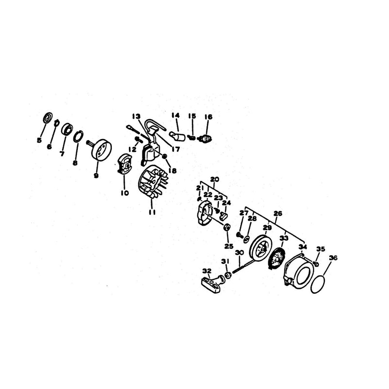 Clutch Ignition and Recoil Starter
