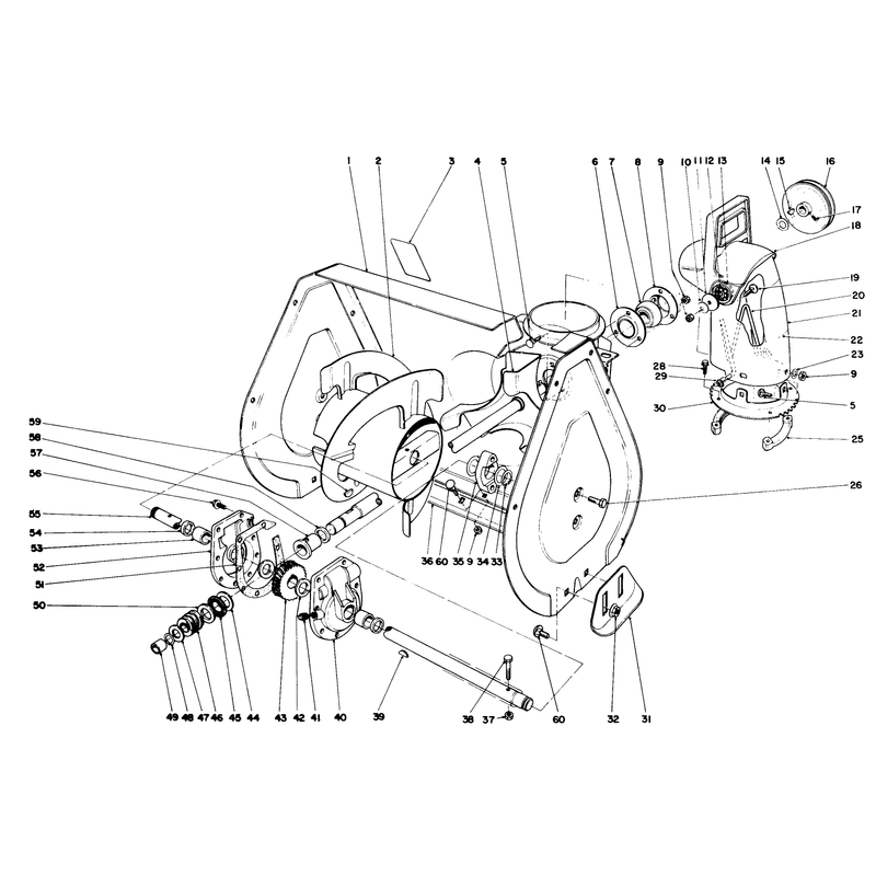 Auger Assembly