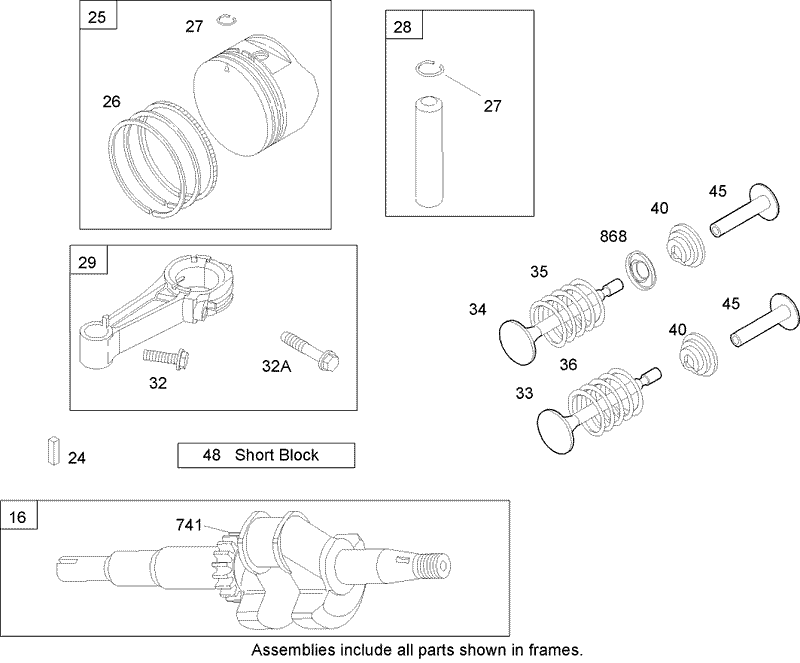 Crankshaft Assembly Briggs and Stratton 125K02 0202 E1