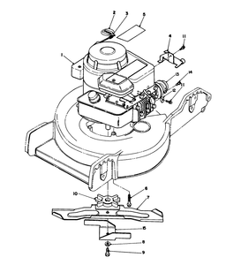 Engine Assembly