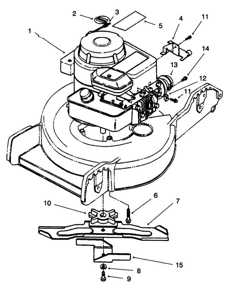Engine Assembly