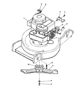 Engine Assembly