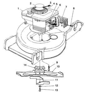 Engine Assembly