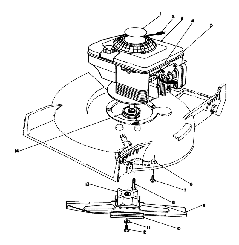 Engine Assembly