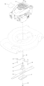 Engine and Blade Assembly