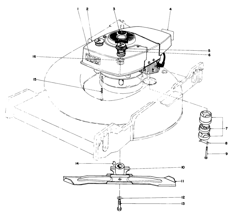 Engine Assembly