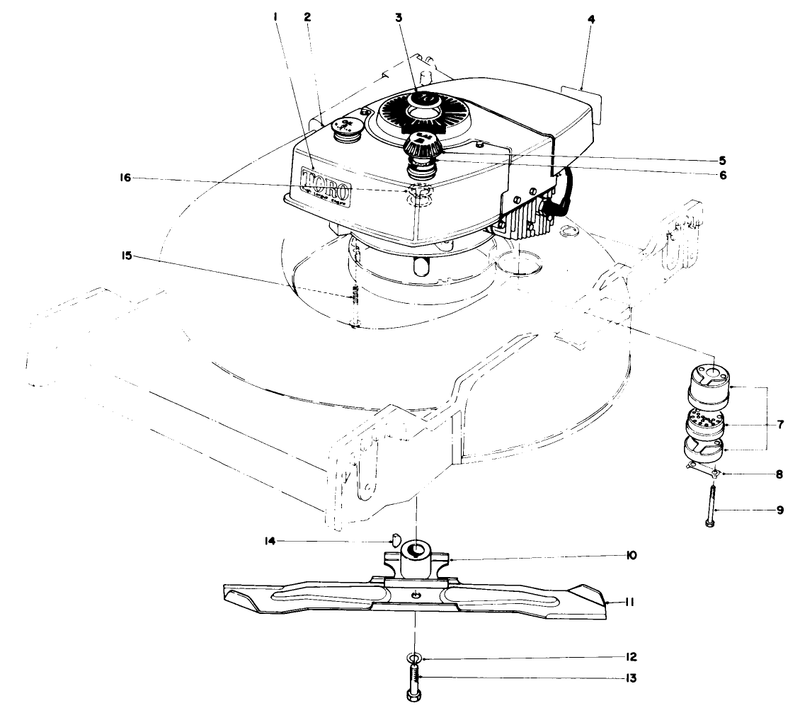 Engine Assembly
