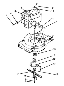Engine Assembly