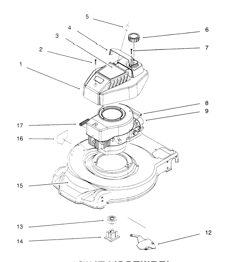 Engine Assembly