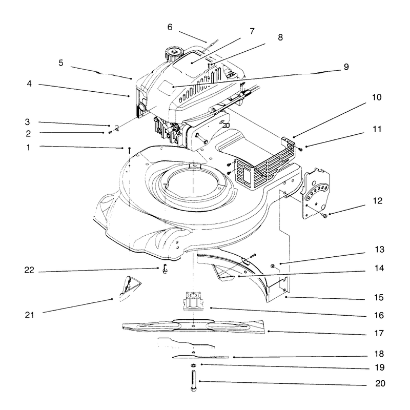 Engine Assembly