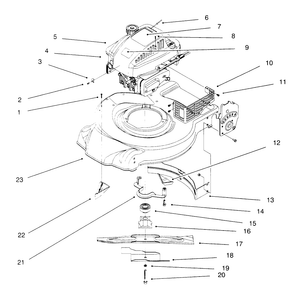 Engine Assembly