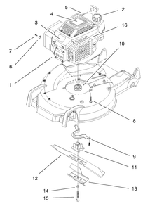 Engine Assembly