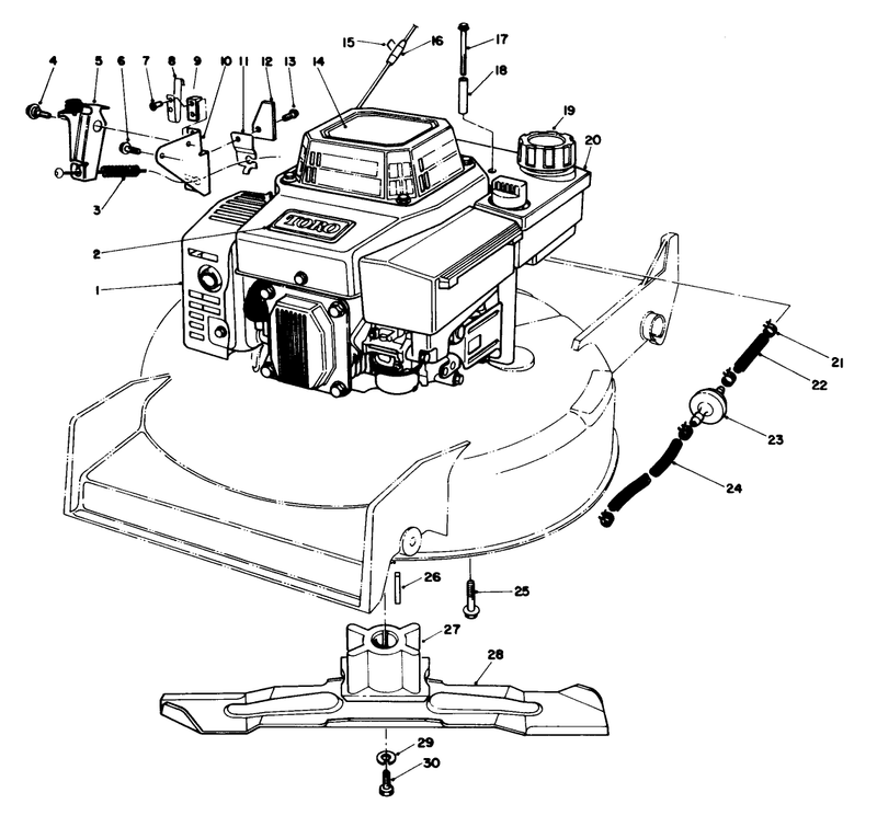 Engine Assembly