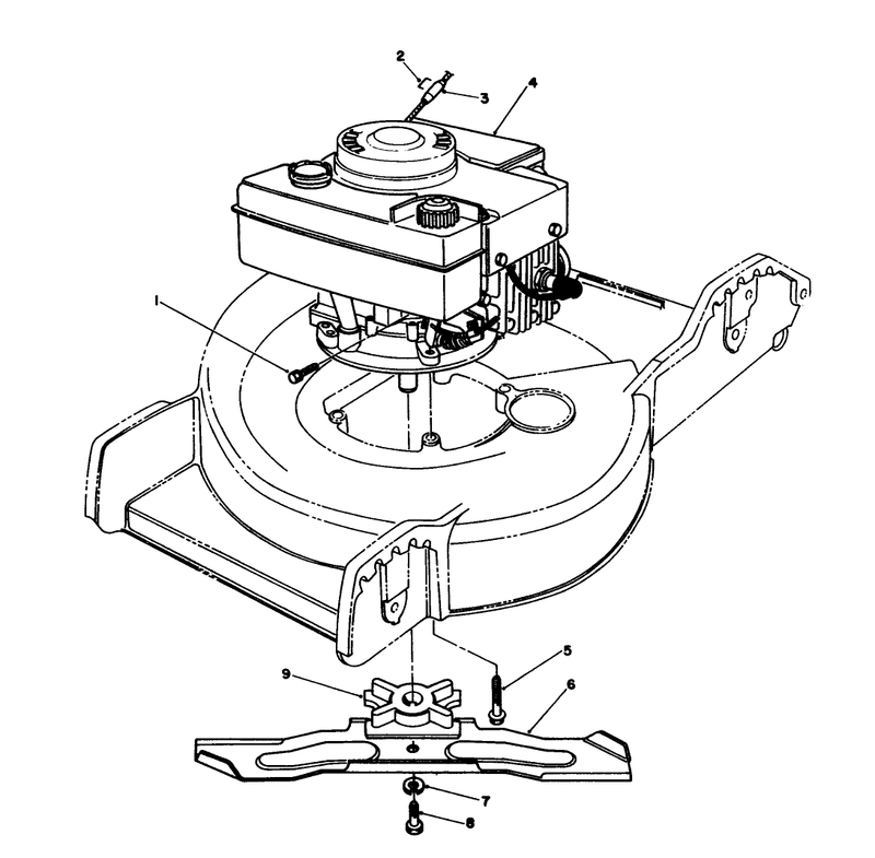 Engine Assembly