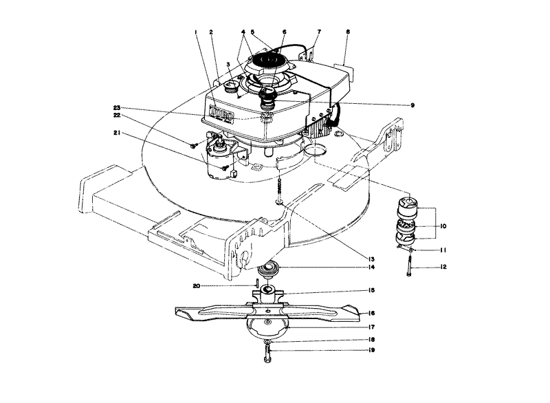 Engine Assembly