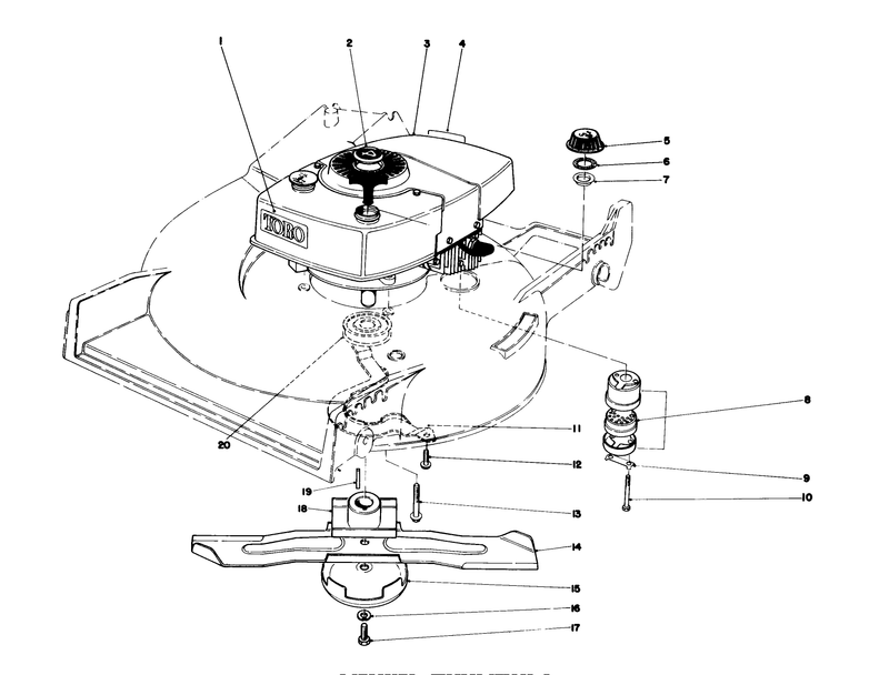 Engine Assembly