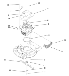 Engine Assembly