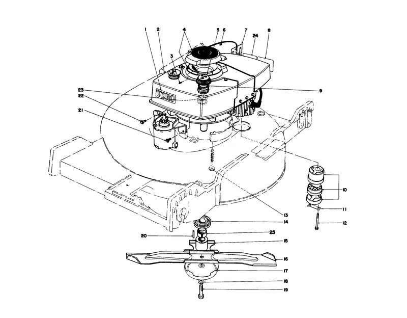 Engine Assembly