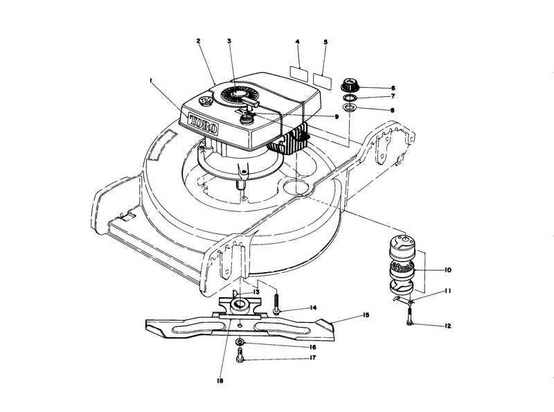 Engine Assembly