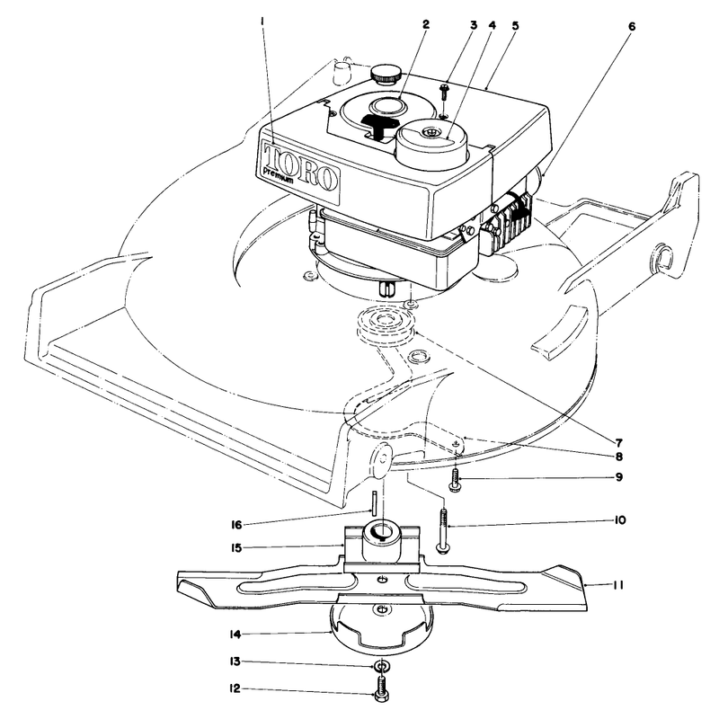 Engine Assembly