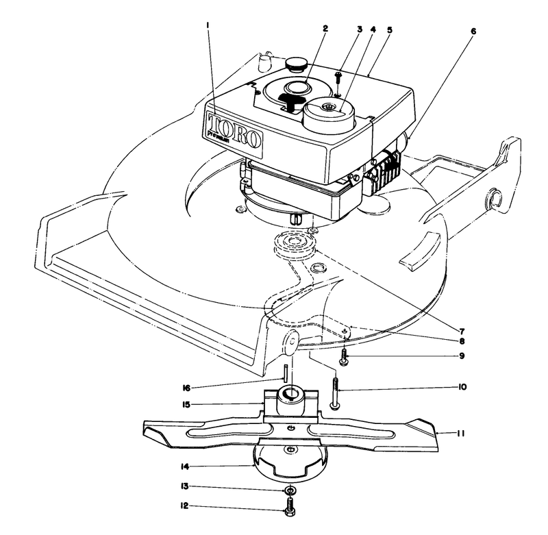 Engine Assembly