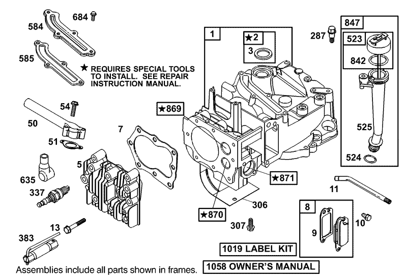Cylinder and Cylinder Head Assembly Briggs and Stratton 12F802 1770 B1