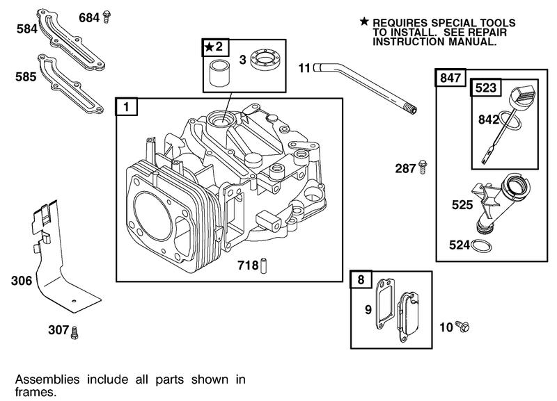 Cylinder Assembly Briggs and Stratton 123602 0152 E1